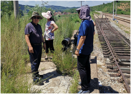 ƽ����(pinnacle)�ٷ���վ